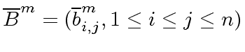 $ \overline{B}^{m} = (\overline{b}^m_{i,j}, 1 \leq i \leq j \leq n)$