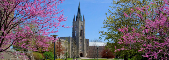 picture of Middlesex College building