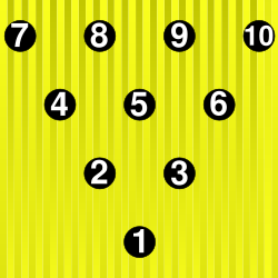 10 Pin